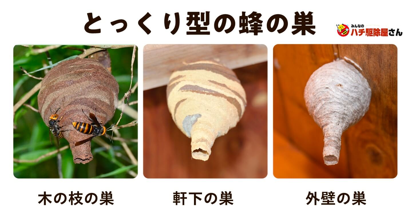 とっくり型の蜂の巣事例