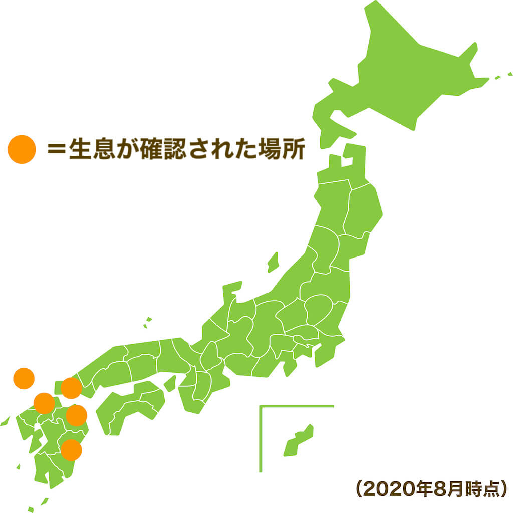 2020年8月時点で生息が確認された場所は九州あたり