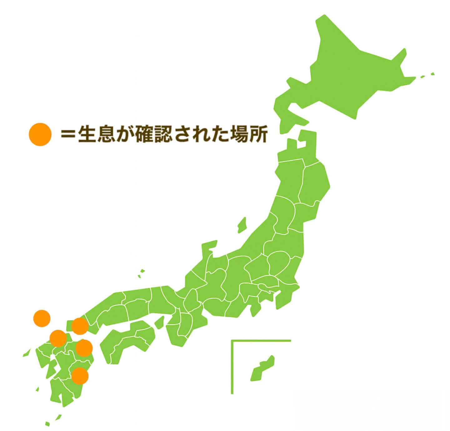 2025年7月時点で生息が確認された場所は九州あたり