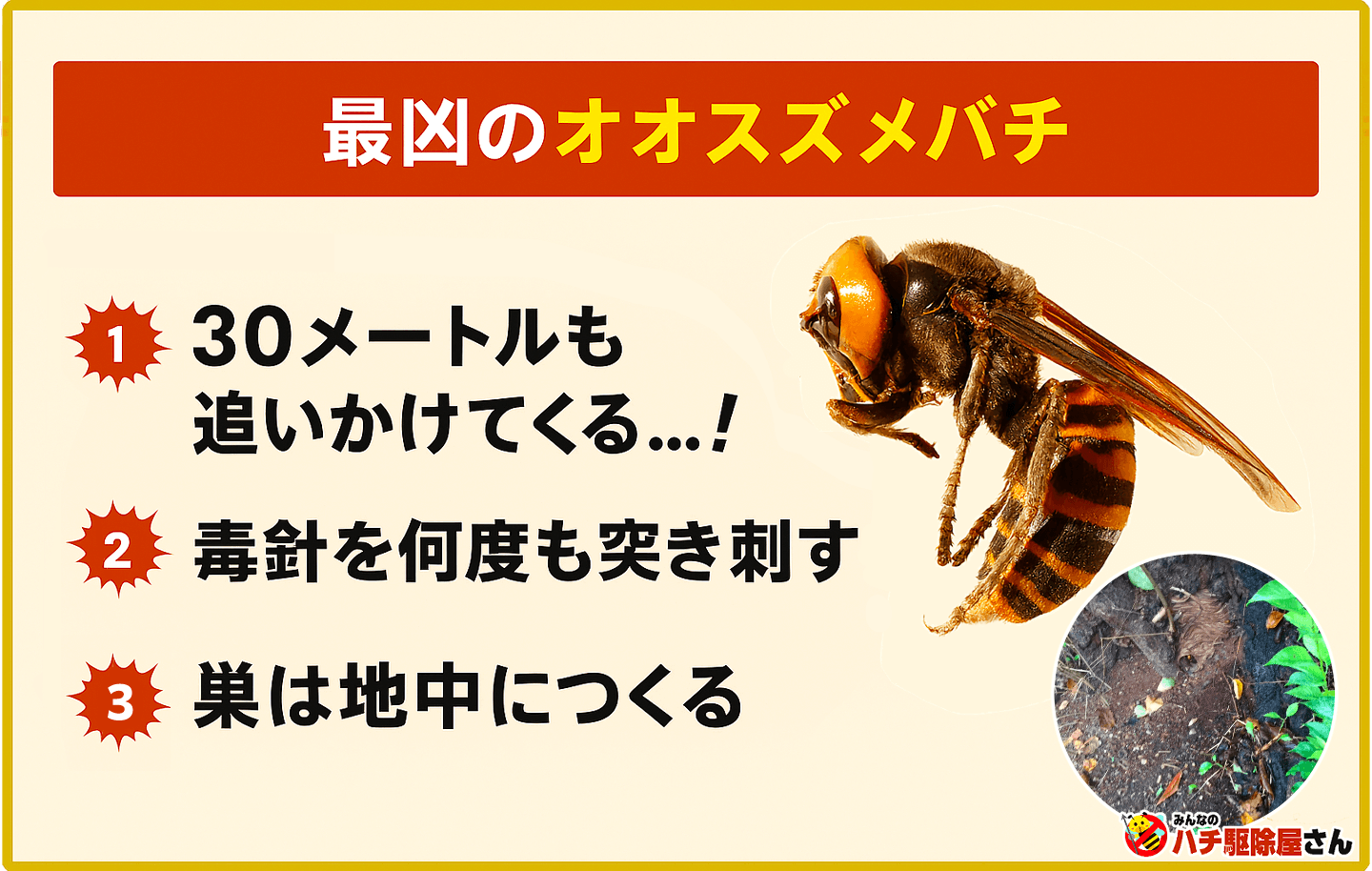 最凶のオオスズメバチ