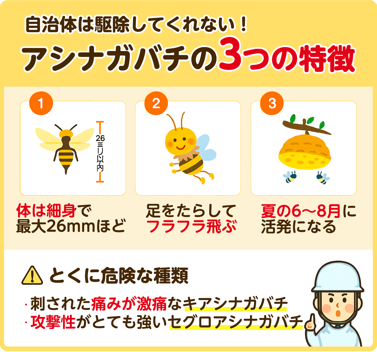 アシナガバチの特徴