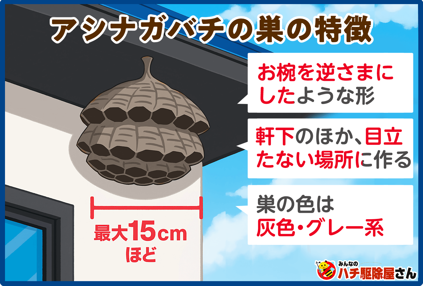 アシナガバチの巣は最大15cmほど