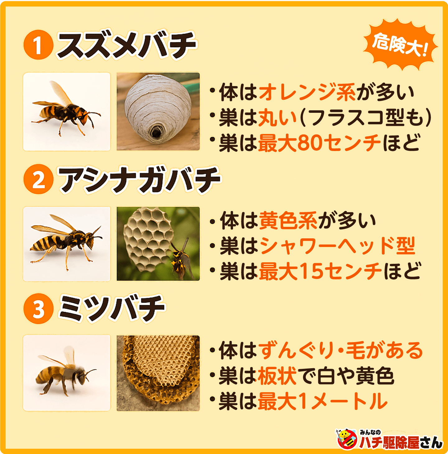 3種類のハチの見分け方