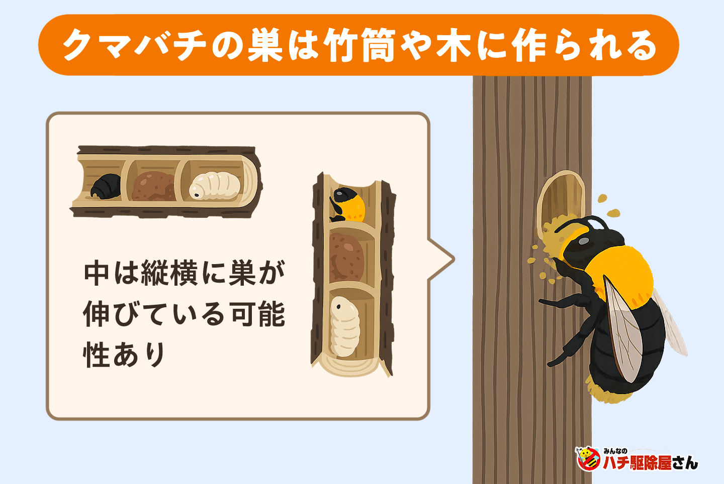 クマバチの巣は竹筒や木に作られる