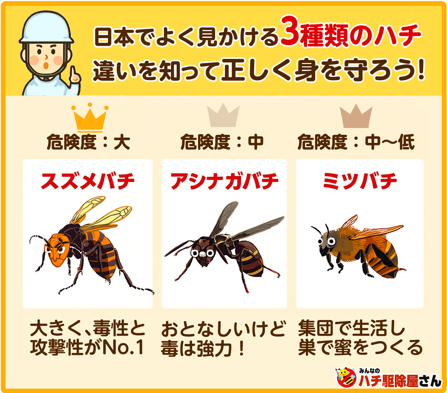 日本でよく見かける3種類のハチ、違いを知って正しく身を守ろう